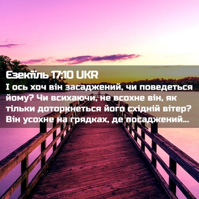 Picture 02 - Єзекіїль 17:10 UKR - І ось хоч він засаджений, - Bible Verse Picture