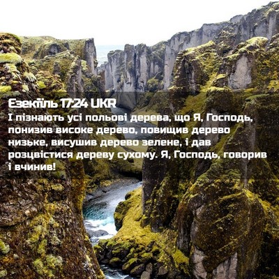 Picture 02 - Єзекіїль 17:24 UKR - І пізнають усі польові - Bible Verse Picture