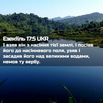 Picture 02 - Єзекіїль 17:5 UKR - І взяв він з насіння тієї - Bible Verse Picture