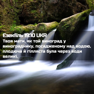 Picture 02 - Єзекіїль 19:10 UKR - Твоя мати, як той виноград - Bible Verse Picture