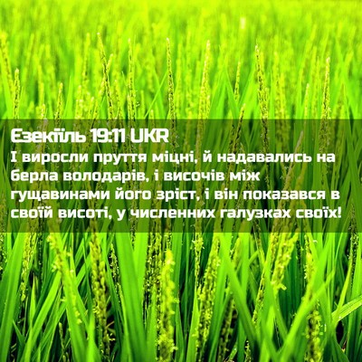 Picture 02 - Єзекіїль 19:11 UKR - І виросли пруття міцні, й - Bible Verse Picture