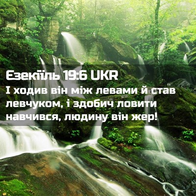 Picture 02 - Єзекіїль 19:6 UKR - І ходив він між левами й - Bible Verse Picture
