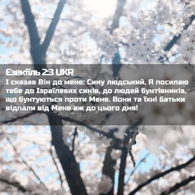 Picture 02 - Єзекіїль 2:3 UKR - І сказав Він до мене: Сину - Bible Verse Picture