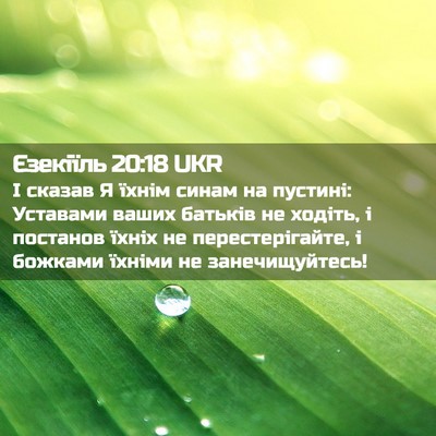 Picture 02 - Єзекіїль 20:18 UKR - І сказав Я їхнім синам на - Bible Verse Picture