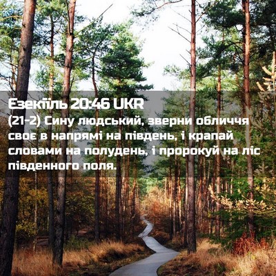 Picture 02 - Єзекіїль 20:46 UKR - (21-2) Сину людський, зверни - Bible Verse Picture