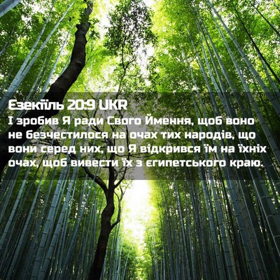 Picture 02 - Єзекіїль 20:9 UKR - І зробив Я ради Свого - Bible Verse Picture