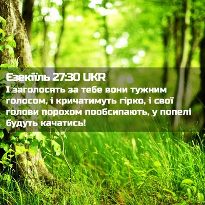 Picture 02 - Єзекіїль 27:30 UKR - І заголосять за тебе вони - Bible Verse Picture