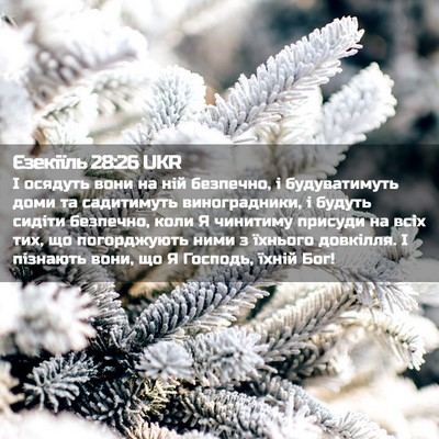 Picture 02 - Єзекіїль 28:26 UKR - І осядуть вони на ній - Bible Verse Picture