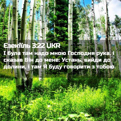 Picture 02 - Єзекіїль 3:22 UKR - І була там надо мною - Bible Verse Picture