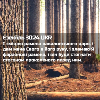 Picture 02 - Єзекіїль 30:24 UKR - І зміцню рамена - Bible Verse Picture