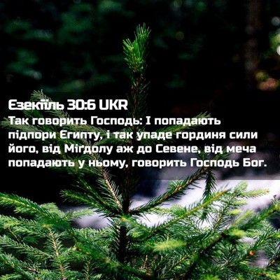 Picture 02 - Єзекіїль 30:6 UKR - Так говорить Господь: І - Bible Verse Picture