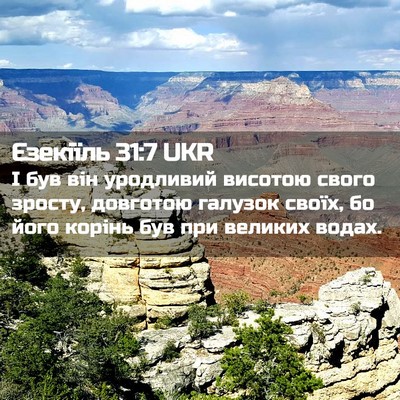 Picture 02 - Єзекіїль 31:7 UKR - І був він уродливий - Bible Verse Picture