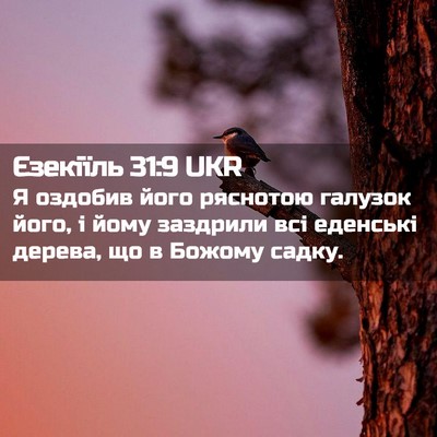 Picture 02 - Єзекіїль 31:9 UKR - Я оздобив його ряснотою - Bible Verse Picture