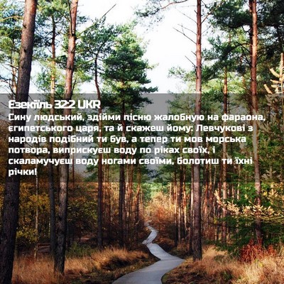 Picture 02 - Єзекіїль 32:2 UKR - Сину людський, здійми - Bible Verse Picture