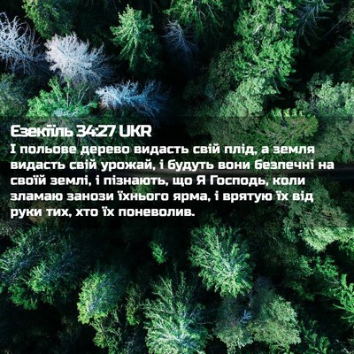 Picture 02 - Єзекіїль 34:27 UKR - І польове дерево видасть - Bible Verse Picture