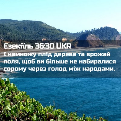 Picture 02 - Єзекіїль 36:30 UKR - І намножу плід дерева та - Bible Verse Picture