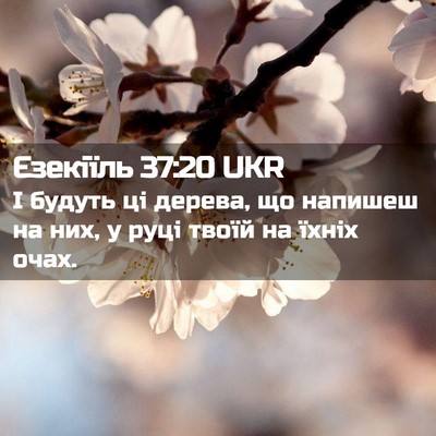 Picture 02 - Єзекіїль 37:20 UKR - І будуть ці дерева, що - Bible Verse Picture