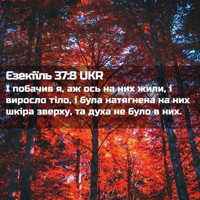 Picture 02 - Єзекіїль 37:8 UKR - І побачив я, аж ось на них - Bible Verse Picture