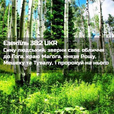 Picture 02 - Єзекіїль 38:2 UKR - Сину людський, зверни своє - Bible Verse Picture