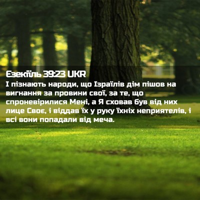 Picture 02 - Єзекіїль 39:23 UKR - І пізнають народи, що - Bible Verse Picture