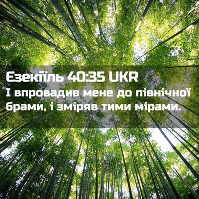 Picture 02 - Єзекіїль 40:35 UKR - І впровадив мене до - Bible Verse Picture