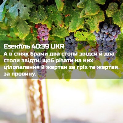 Picture 02 - Єзекіїль 40:39 UKR - А в сінях брами два столи - Bible Verse Picture