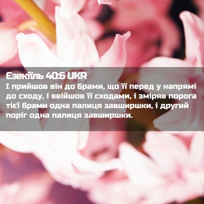 Picture 02 - Єзекіїль 40:6 UKR - І прийшов він до брами, що - Bible Verse Picture