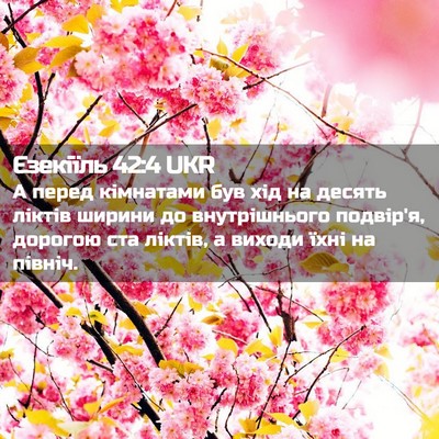 Picture 02 - Єзекіїль 42:4 UKR - А перед кімнатами був хід - Bible Verse Picture
