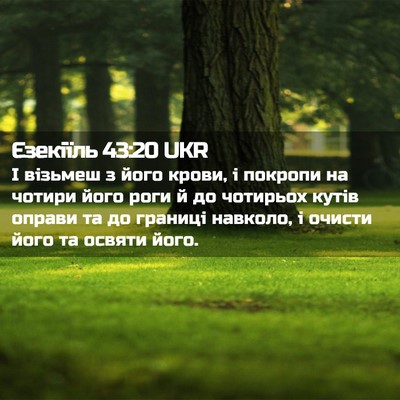 Picture 02 - Єзекіїль 43:20 UKR - І візьмеш з його крови, і - Bible Verse Picture