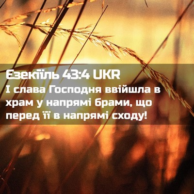 Picture 02 - Єзекіїль 43:4 UKR - І слава Господня ввійшла в - Bible Verse Picture