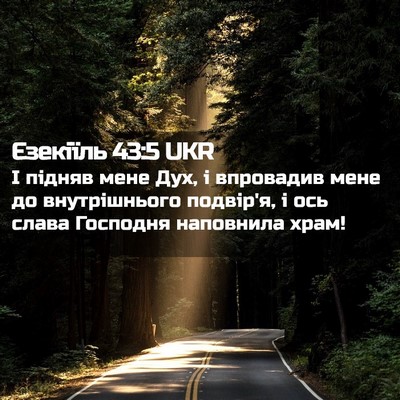 Picture 02 - Єзекіїль 43:5 UKR - І підняв мене Дух, і - Bible Verse Picture