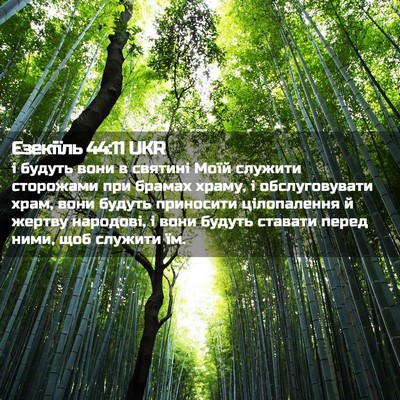 Picture 02 - Єзекіїль 44:11 UKR - і будуть вони в святині - Bible Verse Picture