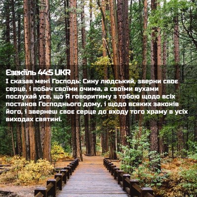 Picture 02 - Єзекіїль 44:5 UKR - І сказав мені Господь: Сину - Bible Verse Picture
