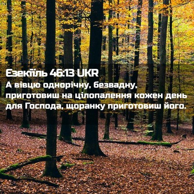 Picture 02 - Єзекіїль 46:13 UKR - А вівцю однорічну, - Bible Verse Picture