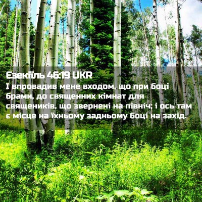 Picture 02 - Єзекіїль 46:19 UKR - І впровадив мене входом, що - Bible Verse Picture