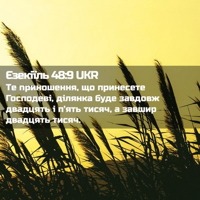 Picture 02 - Єзекіїль 48:9 UKR - Те приношення, що - Bible Verse Picture