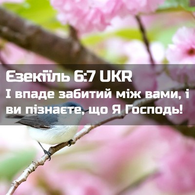 Picture 02 - Єзекіїль 6:7 UKR - І впаде забитий між вами, і - Bible Verse Picture