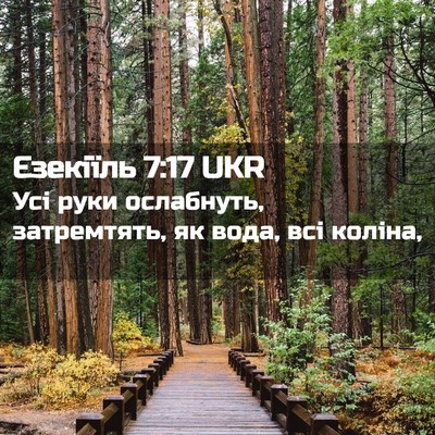 Picture 02 - Єзекіїль 7:17 UKR - Усі руки ослабнуть, - Bible Verse Picture