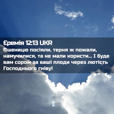 Picture 02 - Єремія 12:13 UKR - Пшеницю посіяли, терня ж - Bible Verse Picture