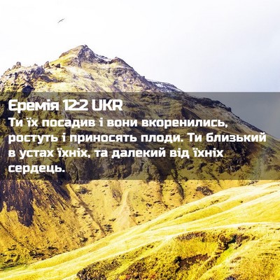 Picture 02 - Єремія 12:2 UKR - Ти їх посадив і вони - Bible Verse Picture