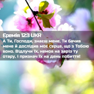 Picture 02 - Єремія 12:3 UKR - А Ти, Господи, знаєш мене, - Bible Verse Picture