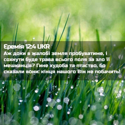 Picture 02 - Єремія 12:4 UKR - Аж доки в жалобі земля - Bible Verse Picture