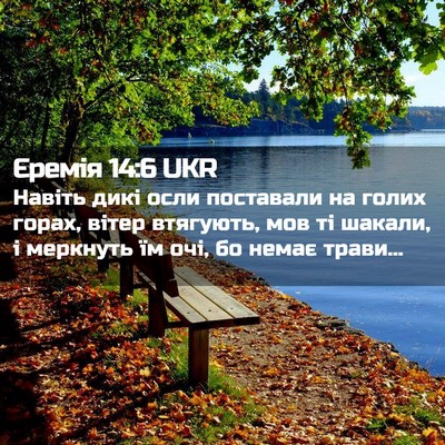 Picture 02 - Єремія 14:6 UKR - Навіть дикі осли поставали - Bible Verse Picture
