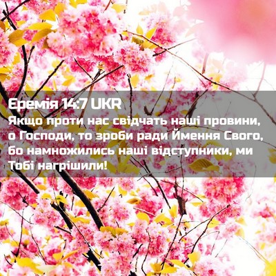 Picture 02 - Єремія 14:7 UKR - Якщо проти нас свідчать - Bible Verse Picture