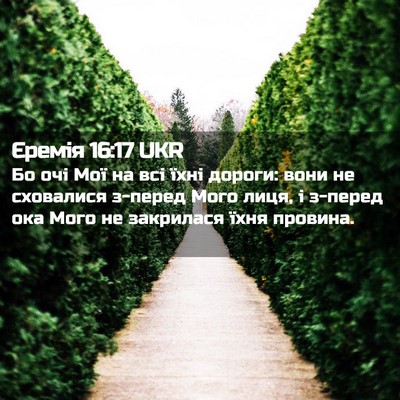 Picture 02 - Єремія 16:17 UKR - Бо очі Мої на всі їхні - Bible Verse Picture