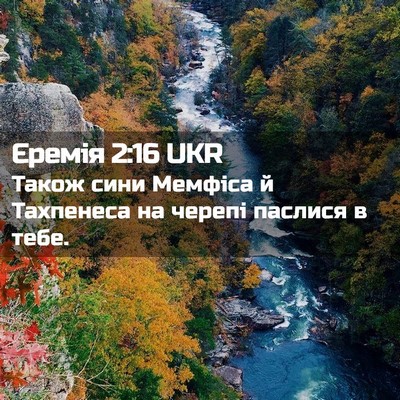 Picture 02 - Єремія 2:16 UKR - Також сини Мемфіса й - Bible Verse Picture