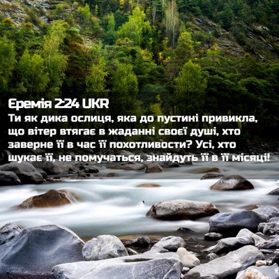 Picture 02 - Єремія 2:24 UKR - Ти як дика ослиця, яка до - Bible Verse Picture