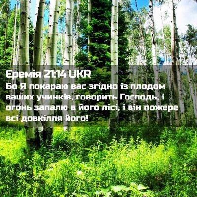 Picture 02 - Єремія 21:14 UKR - Бо Я покараю вас згідно із - Bible Verse Picture