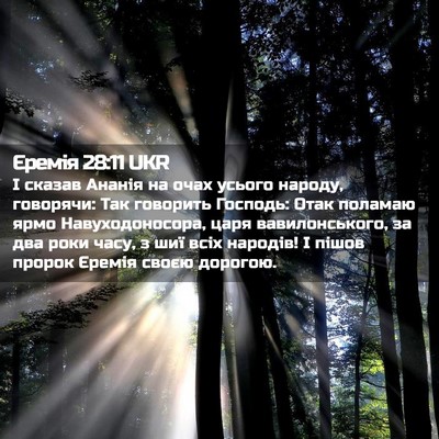 Picture 02 - Єремія 28:11 UKR - І сказав Ананія на очах - Bible Verse Picture