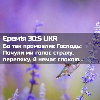 Picture 02 - Єремія 30:5 UKR - Бо так промовляє Господь: - Bible Verse Picture